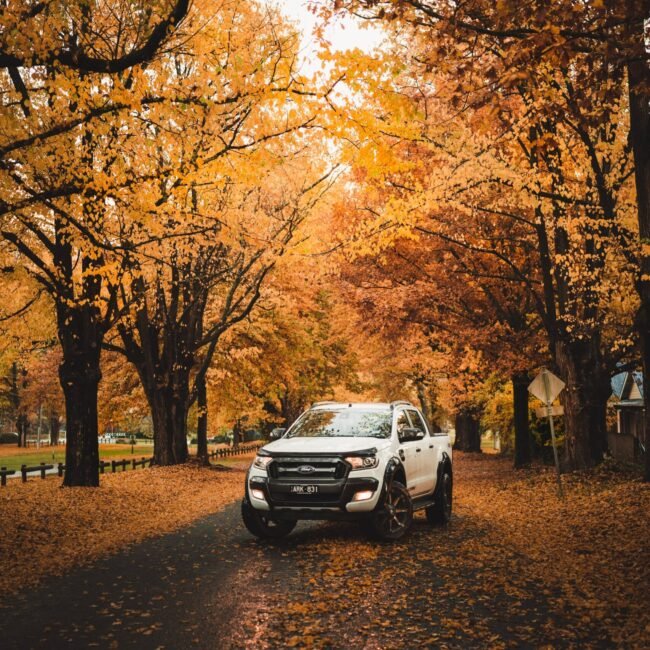 SUV parked by leafy trees in fall.